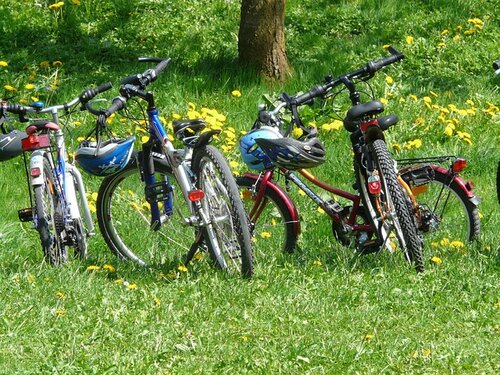 hans-cycles-6895_640.jpg